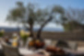 rent house in provence