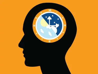 The Role of Circadian Rhythms in Bone Health and Metabolism
