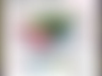 Foals en el Pepsi Center WTC