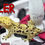Thumbnail: Danika x Killer
