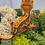 Thumbnail: Orange kiddo