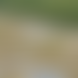 VÍDEO: Corpo sem cabeça é encontrado na orla do bairro São Raimundo, em Manaus