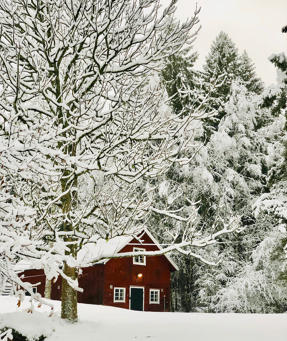 The old cow barn at Stensund