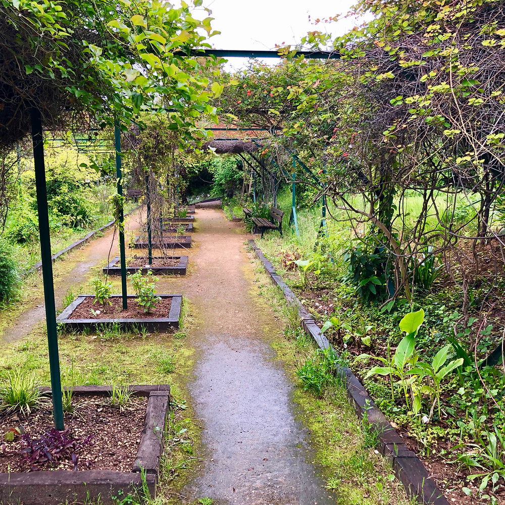 The remnants of a pergola