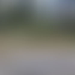 Creating a shrubbery