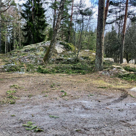 Creating a shrubbery