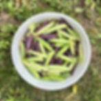 Green and purple peas