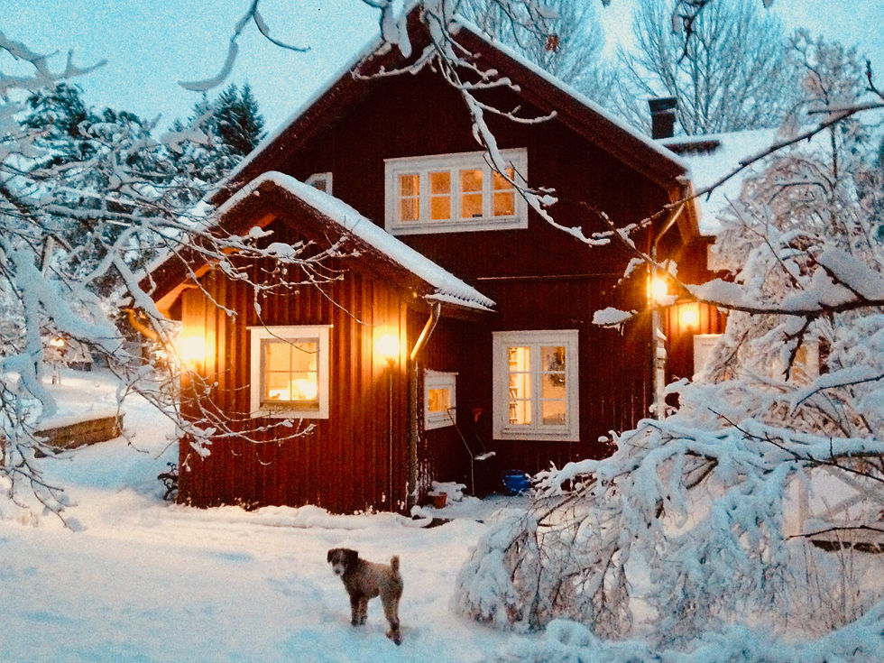 Stensund and Boomer in winter