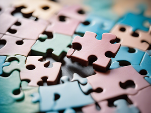 Empowering Twice-Exceptional Learners: Toucanet Academy's Approach