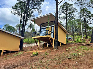 WhatsApp Image 2023-07-31 at 11.52.20.jpg