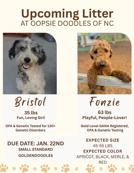 Upcoming Litter At Oopsie Doodles of NC-6.png