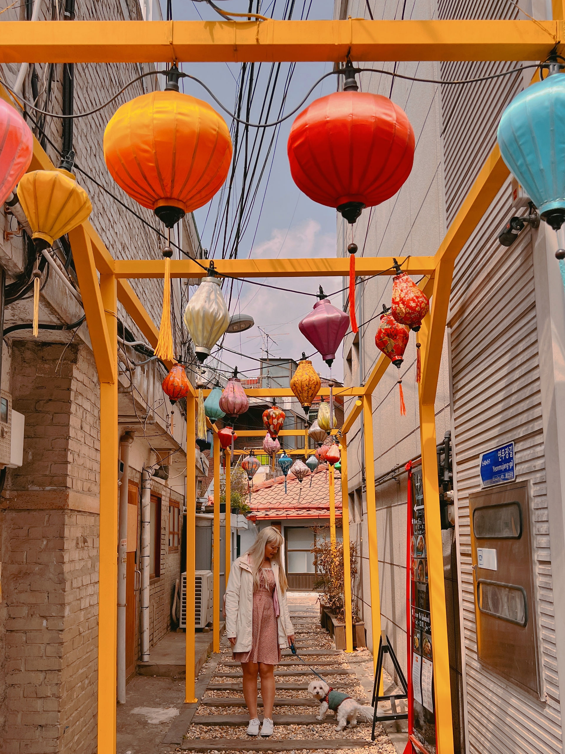 vietnamese restaurant in seoul seongsu art display alleyway