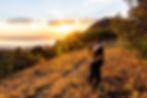 Buffalo Peak at Sunset 1