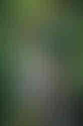 Summer Engagement Session at Jordan Pines: Natalie & Matt by Utah Wedding Photographers JEP 3