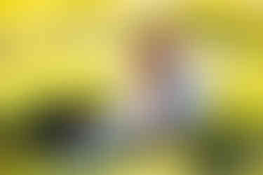 Summer Farmington Canyon Engagement with Cassidy & Rylan by Utah Wedding Photographers James Erick Photography Utah