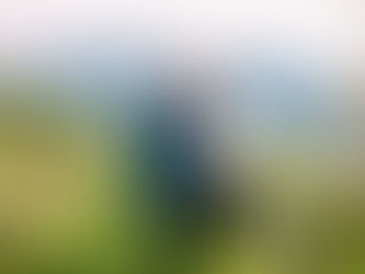 Spring Big Springs Park Engagement with Camille & Tyler