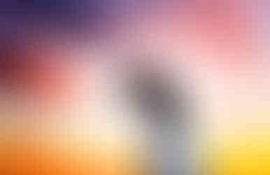 Spring Memory Grove Bride and Groom Session with Chantel and Dylan by Utah Wedding Photographers James Erick Photography Utah