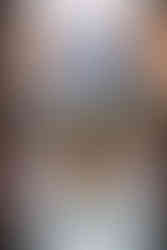 Summer Garden Park Ward Bride & Groom with Brandi & Tom by Utah Wedding Photographers James Erick Photography Utah