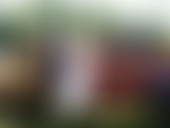 Ashley & Kaden’s Spring Wheeler Farm EngagementPhotographed by Utah Wedding Photographers James Erick Photography Utah