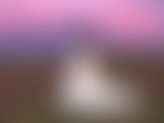 Summer Antelope Island Bridal Session with Chantel by Utah Wedding Photographers James Erick Photography Utah