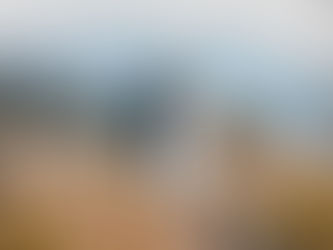 Kallie & Beck’s Summer Big Spring Park Bridals