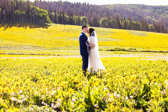 Bride and Groom in flower fields in the high Uinta's in Utah.