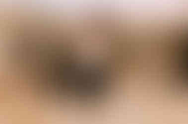 Kalea & Luke's Golden Fall Engagement on the Alpine Loop Scenic Byway by Utah Wedding Photographers James Erick Photography Utah