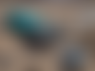 Advanced Geophysics Techniques for Efficient Reservoir Management