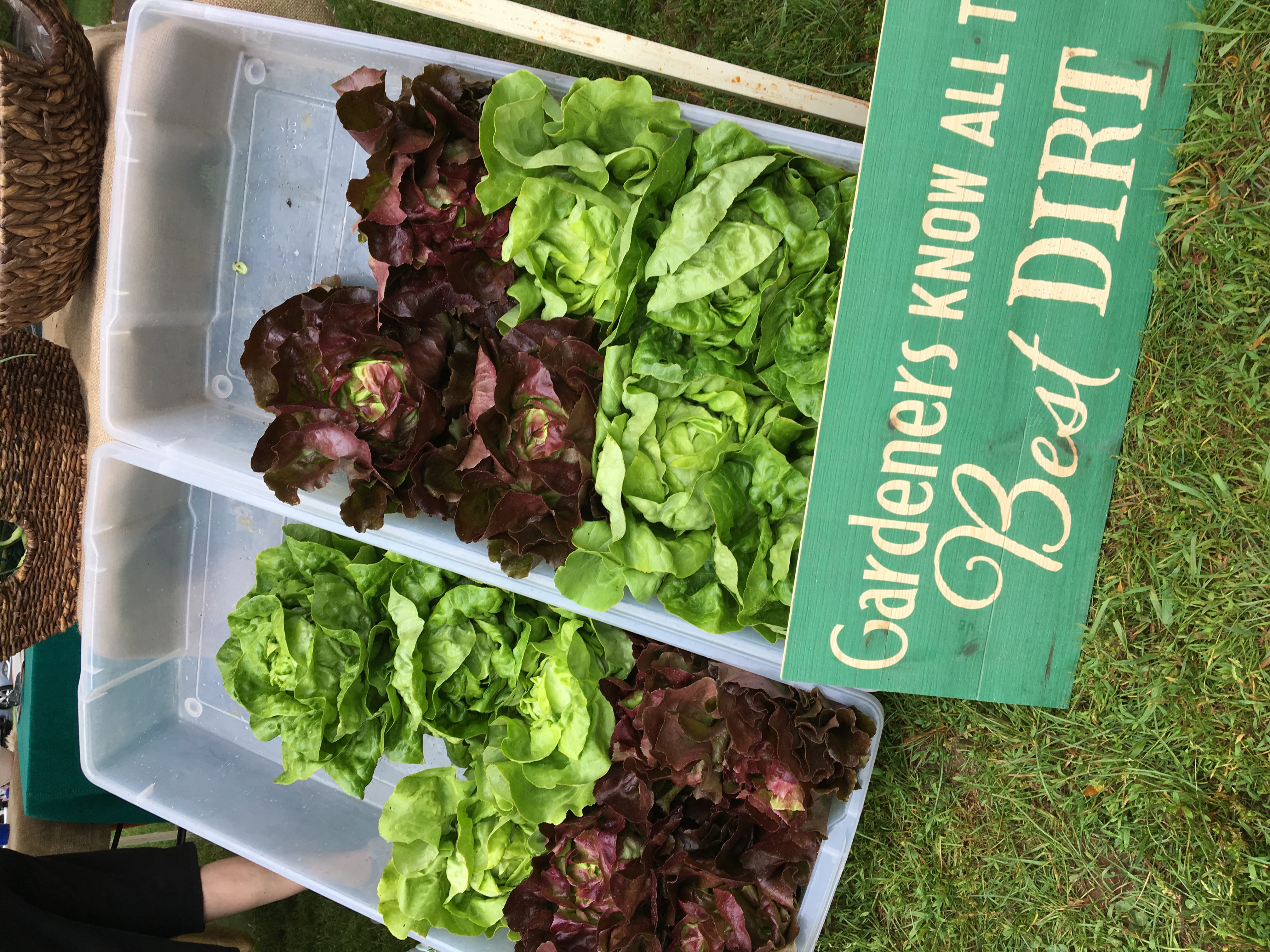 Ellington Farmers' Market