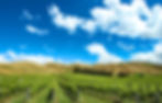 Clayvin-Vineyard-Wines-Marlborough-2500x1600.jpg