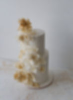 2-Tier Fondant Finish Cake