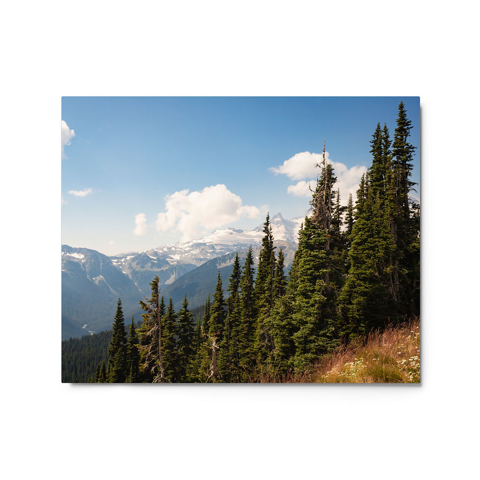 Thumbnail: Mt Rainier Metal prints