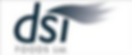 Logo-DSI.png
