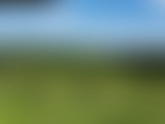 Dimanche 11 juillet, autocueillette de 9h à 14h