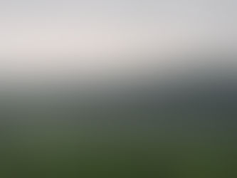 Autocueillette fermée mardi 4 et mercredi 5 août