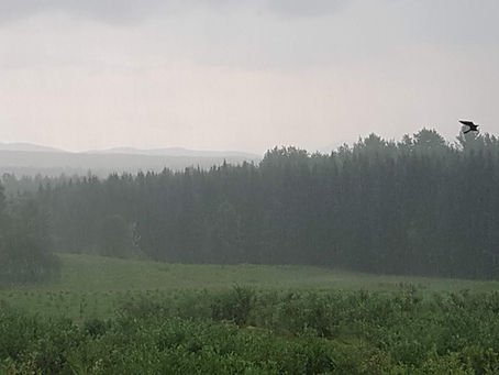 Autocueillette fermée mardi 4 et mercredi 5 août