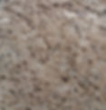Amarelo Ornamental