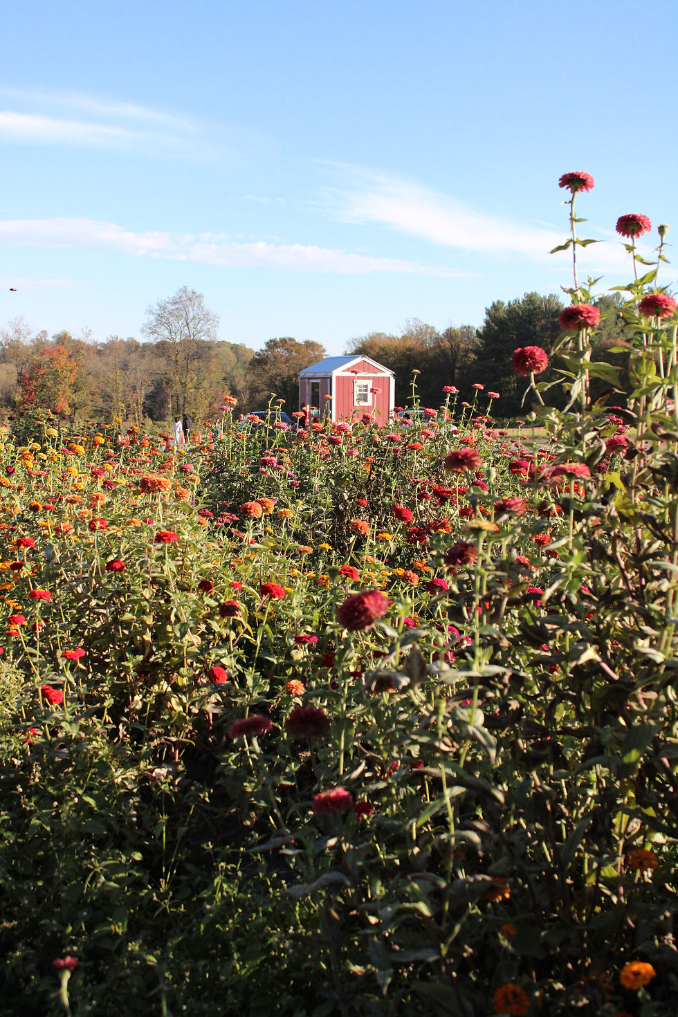 Butler's Orchard - 10/18/25