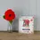 Thumbnail: A red poppy in a glass vase standing beside the kits box.