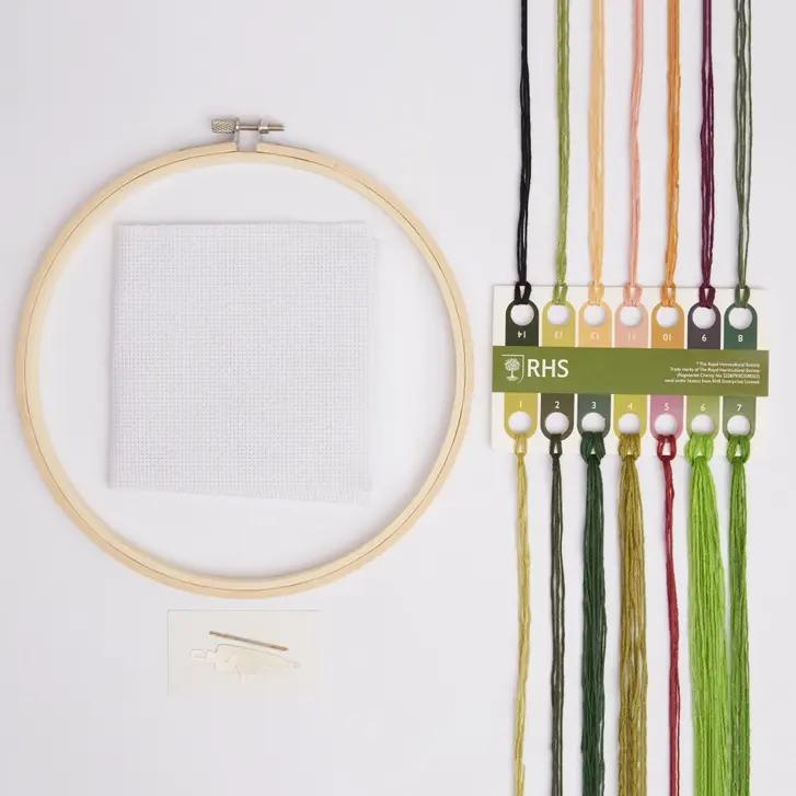 overhead view of hoop, materials and coloured threads included