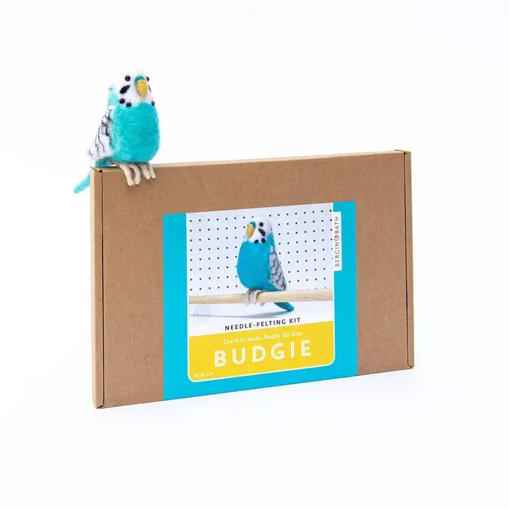 Little blue budgie sitting on a brown box with a picture of it on the front
