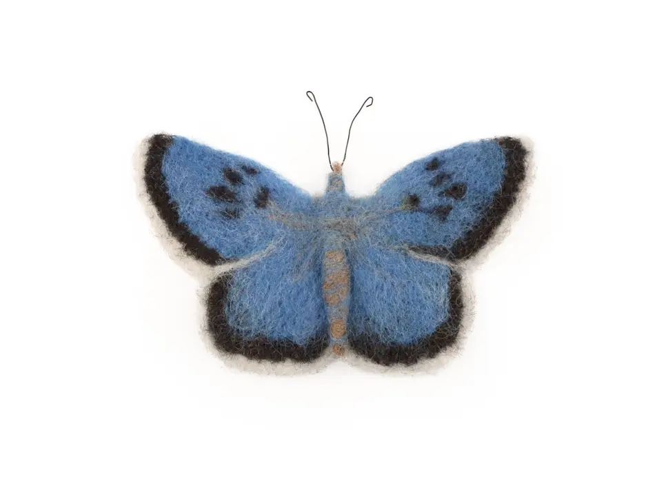 Blue butterfly overhead view