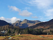 WhatsApp Image 2025-03-17 at 16.32.05 (1).jpeg