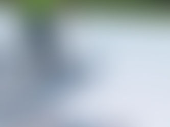 Metal Roof Sheet Leakage Services in Bangalore – HSL Akshmi Engineering