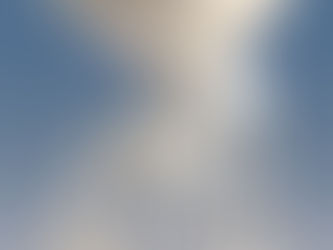 Bowl Type Feeder Manufacturers