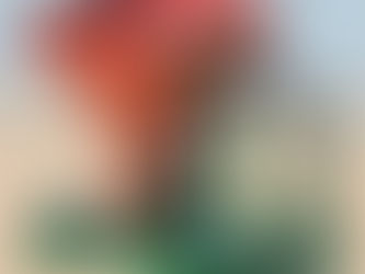 VIBRATORY FEEDERS MANUFACTURER