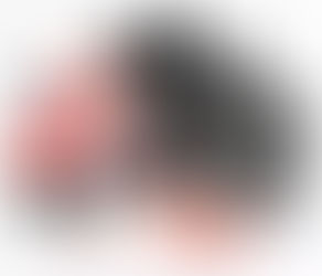 Industrial Rubber Components in Peenya – Shakti Rubber Products