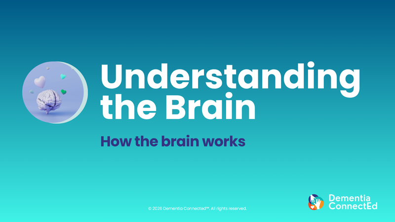 Learn how the brain works using simple analogies and discover practical ways to support brain health
