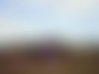 Don't Abandon "Ship"