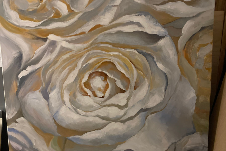 Beautiful Rose